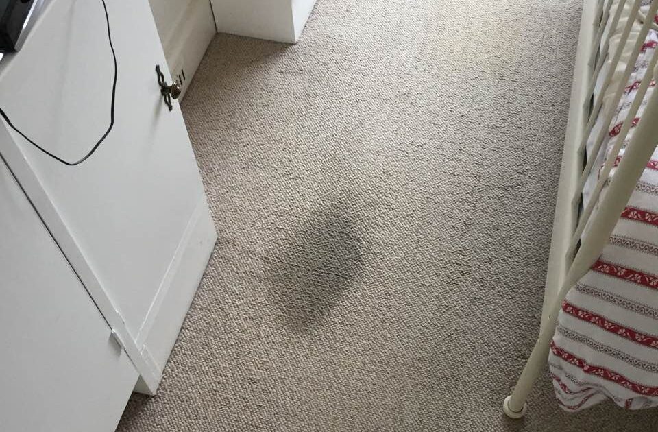 greasy carpet stains
