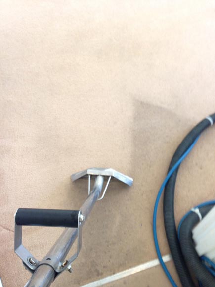 steam carpet cleaning in Pimlico